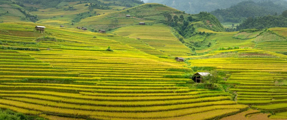 Kho gạo của Nguyễn Nhạc